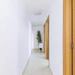 Apartment A&n La Vega 23 *